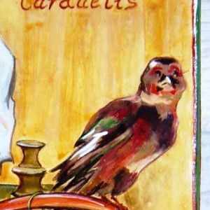  Boite Carduelis d'après fabritius, Marie-Pierre 
